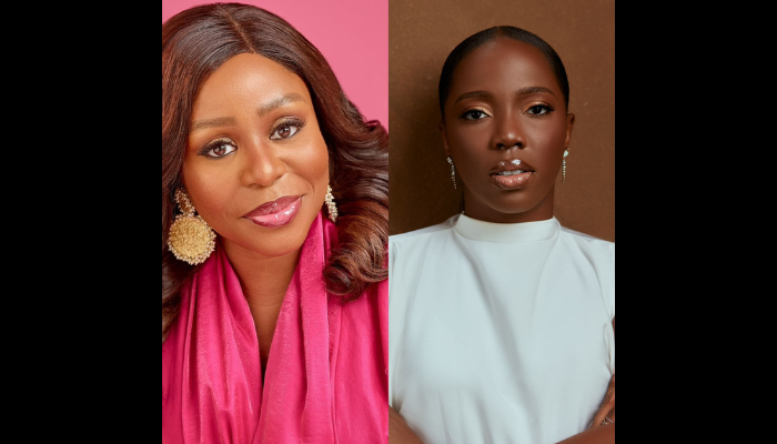 Experts Urge National Care Framework to Strengthen Nigeria’s Economy